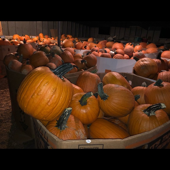 Meet your Posher, Brad - Picture 3 of 8